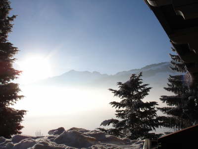 Januar 2006 - Morgenstimmung in Piesendorf