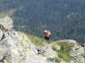 Juli 2007 - auf dem Weg zur Seekarspitze in Obertauern - 2360 m