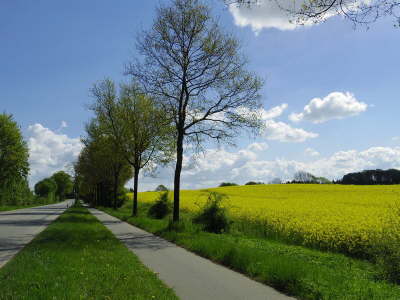 2014 - Mai-3